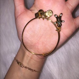 Alex and Ani bracelet